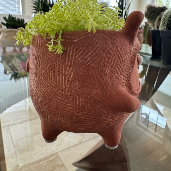 Cute handmade terracotta 🐰 planter with drainage hole. Cactus and succulent pot - Picture 10 of 15